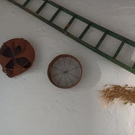 Villetta Maria: Casa-vacanze Nel Cuore Del Salento * Spongano